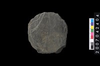 藏品(石環製作材料-打製圓形石板)的圖片