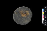 藏品(石環製作材料-打製圓形石板)的圖片