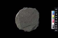 藏品(石環製作材料-打製圓形石板)的圖片