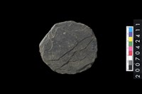 藏品(石環製作材料-打製圓形石板)的圖片