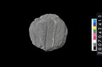 藏品(石環製作材料-打製圓形石板)的圖片