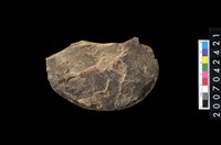 藏品(石環製作材料-打製圓形石板)的圖片