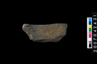 藏品(石環製作材料-打製圓形石板)的圖片