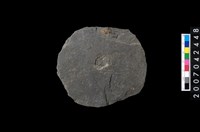 藏品(石環製作材料-中央帶啄痕打製圓板)的圖片