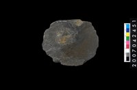 藏品(石環製作材料-中央帶啄痕打製圓板)的圖片