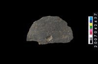 藏品(石環製作材料-中央帶啄痕打製圓板)的圖片