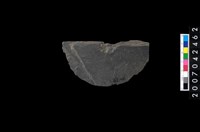 藏品(石環製作材料-中央帶啄痕打製圓板)的圖片