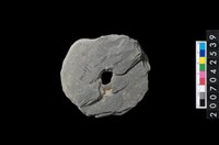 藏品(石環製作材料-中央帶小啄孔打製圓板)的圖片