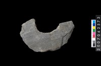 藏品(石環製作材料-中央帶啄孔打製圓板殘件)的圖片