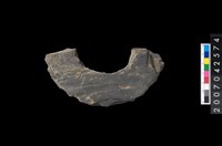 藏品(石環製作材料-中央帶啄孔打製圓板殘件)的圖片