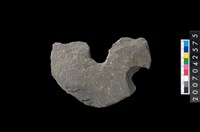 藏品(石環製作材料-中央帶啄孔打製圓板殘件)的圖片