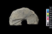 藏品(石環製作材料-中央帶啄孔打製圓板殘件)的圖片