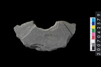 藏品(石環製作材料-中央帶啄孔打製圓板殘件)的圖片