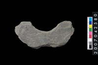 藏品(石環製作材料-中央帶啄孔打製圓板殘件)的圖片