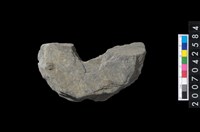 藏品(石環製作材料-中央帶啄孔打製圓板殘件)的圖片