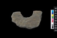 藏品(石環製作材料-中央帶啄孔打製圓板殘件)的圖片