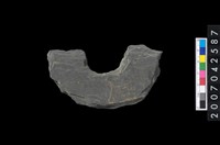 藏品(石環製作材料-中央帶啄孔打製圓板殘件)的圖片