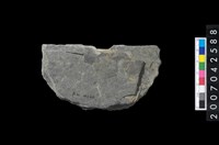 藏品(石環製作材料-中央帶啄孔打製圓板殘件)的圖片