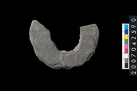 藏品(石環製作材料－中央帶啄孔打製圓板殘件)的圖片