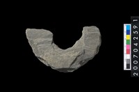 藏品(石環製作材料－中央帶啄孔打製圓板殘件)的圖片