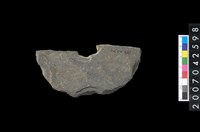 藏品(石環製作材料－中央帶小啄孔打製圓板殘件)的圖片