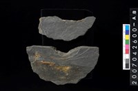 藏品(石環製作材料－中央帶小啄孔打製圓板殘件)的圖片