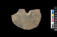 藏品(石環製作材料-中央帶小啄孔打製圓板)的圖片