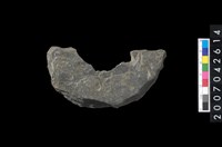 藏品(石環製作材料-中央帶小啄孔打製圓板)的圖片