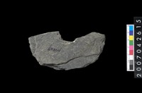 藏品(石環製作材料-中央帶小啄孔打製圓板)的圖片