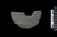 藏品(石環製作材料-中央帶小啄孔打製圓板)的圖片