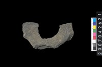 藏品(石環製作材料-中央帶啄孔打製圓板殘件)的圖片