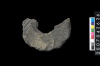 藏品(石環製作材料-中央帶啄孔打製圓板殘件)的圖片