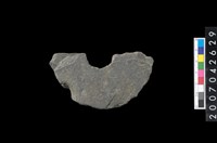 藏品(石環製作材料-中央帶小啄孔打製圓板殘件)的圖片