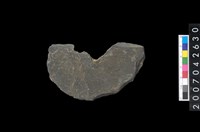 藏品(石環製作材料-中央帶啄孔打製圓板殘件)的圖片