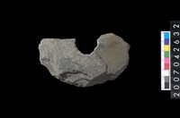 藏品(石環製作材料-中央帶小啄孔打製圓板殘件)的圖片