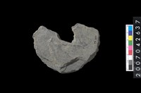 藏品(石環製作材料-中央帶小啄孔打製圓板殘件)的圖片