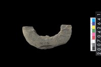 藏品(石環製作材料－中央帶小啄孔打製圓板)的圖片