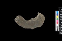 藏品(石環製作材料－中央帶小啄孔打製圓板)的圖片