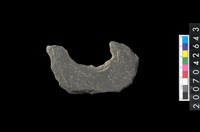 藏品(石環製作材料－中央帶小啄孔打製圓板)的圖片