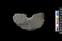 藏品(石環製作材料－中央帶小啄孔打製圓板殘件)的圖片