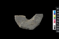 藏品(石環製作材料－中央帶小啄孔打製圓板殘件)的圖片