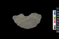 藏品(石環製作材料－中央帶小啄孔打製圓板殘件)的圖片