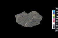 藏品(石環製作材料－中央帶啄孔打製圓板殘件)的圖片