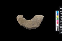 藏品(石環製作材料-中央帶啄孔打製圓板殘件)的圖片