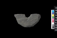 藏品(石環製作材料-中央帶啄孔打製圓板殘件)的圖片