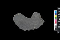 藏品(石環製作材料-中央帶啄孔打製圓板殘件)的圖片