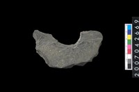 藏品(石環製作材料-中央帶啄孔打製圓板殘件)的圖片