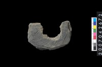 藏品(石環製作材料-中央帶啄孔打製圓板殘件)的圖片