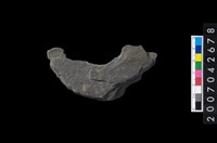 藏品(石環製作材料-中央帶啄孔打製圓板殘件)的圖片