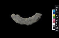 藏品(石環製作材料-中央帶啄孔打製圓板殘件)的圖片